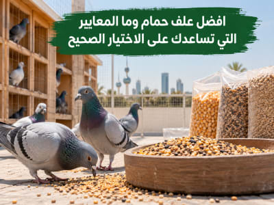 =افضل علف حمام - أعلاف السلطان الكويت