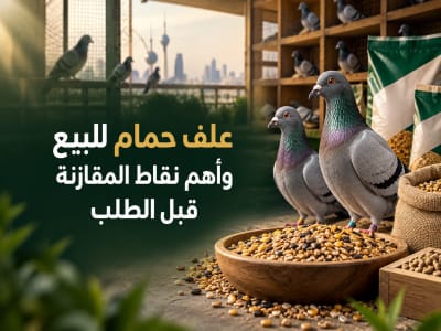 =علف حمام للبيع - أعلاف السلطان الكويت