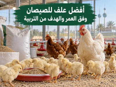 =أفضل علف للصيصان - أعلاف السلطان الكويت
