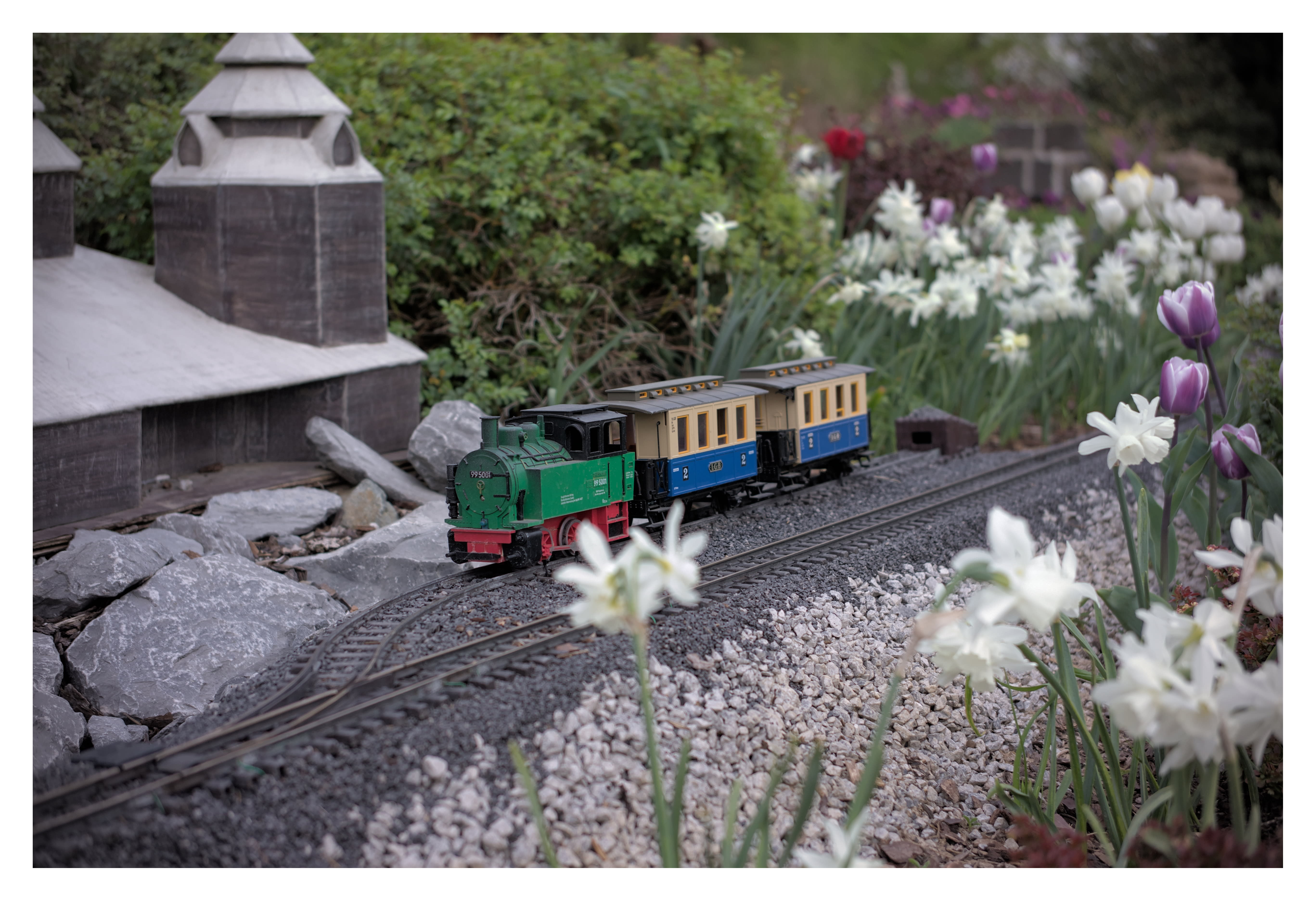 Photography Image 10