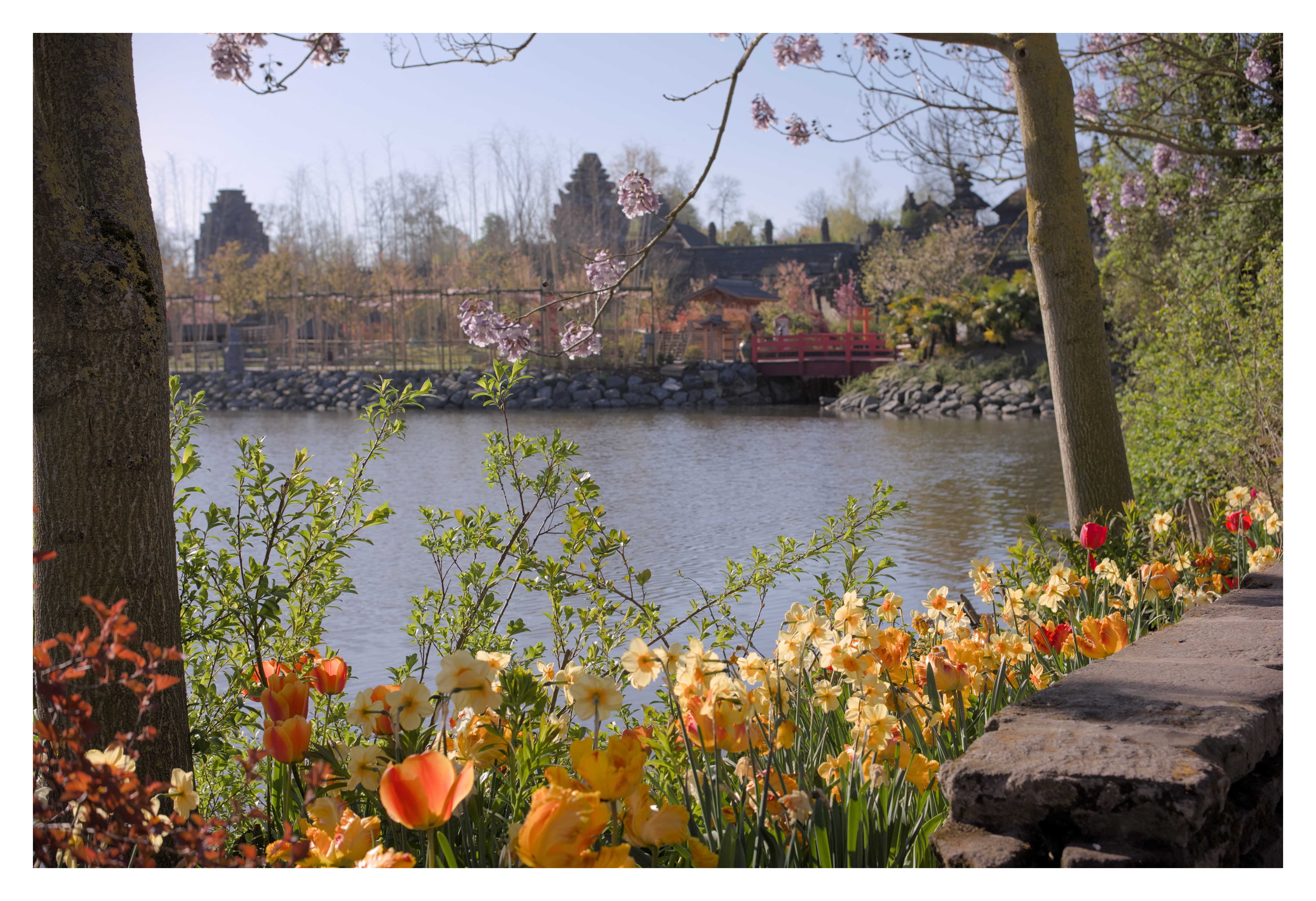 Photography Image 6