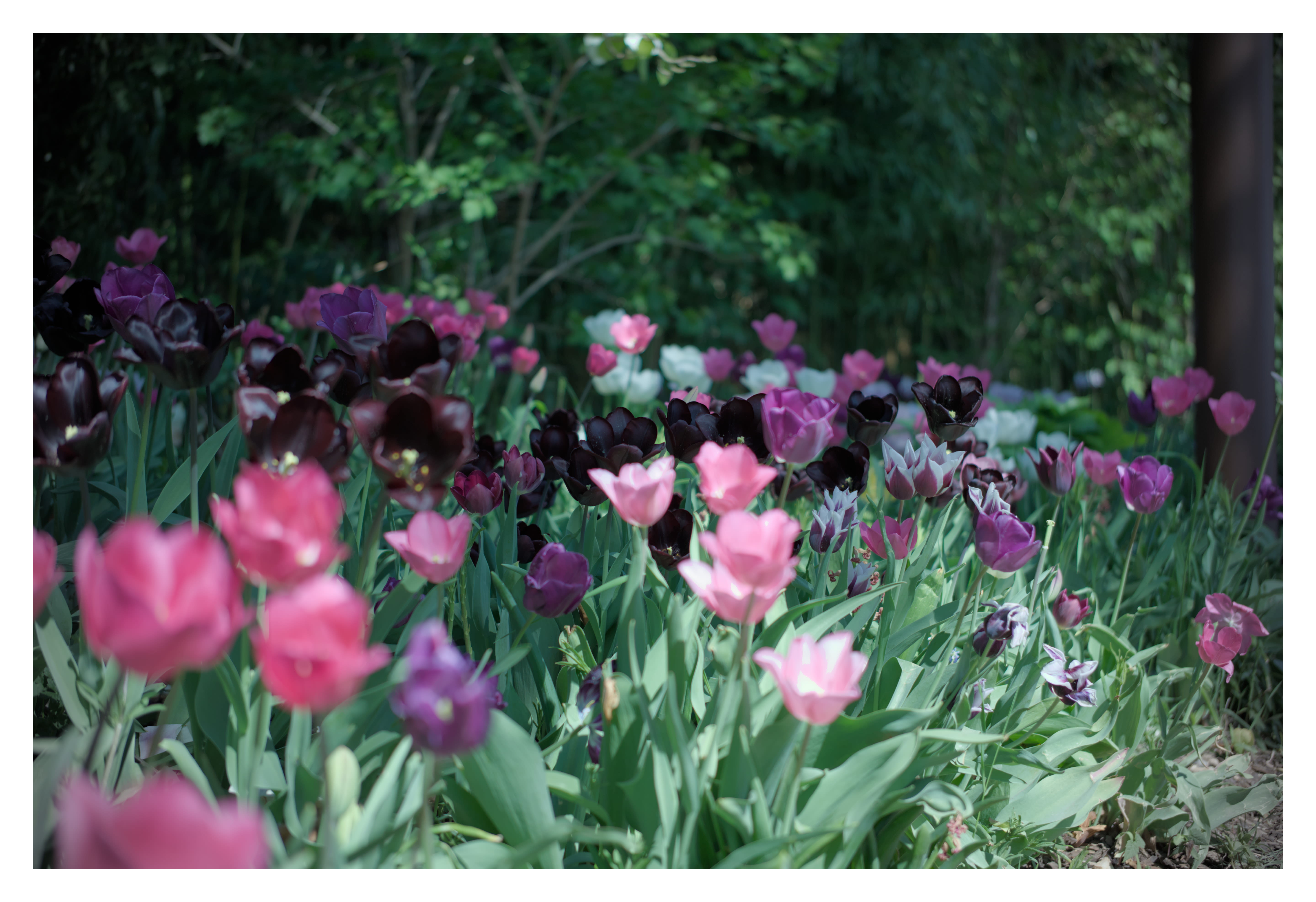 Photography Image 7