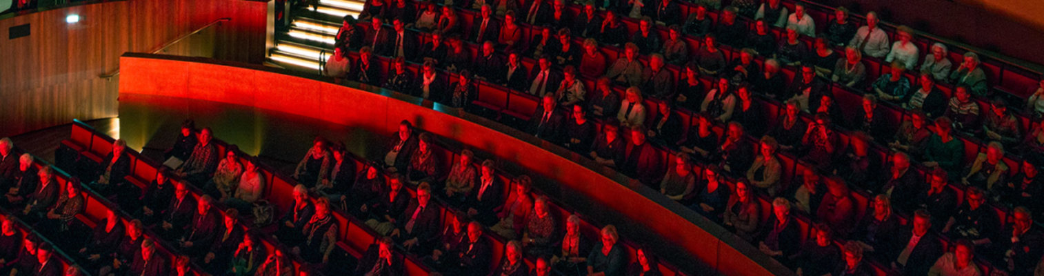 Ein Tag voller Vielfalt: Von Jazzrhythmen bis Dracula-Musical in Linz