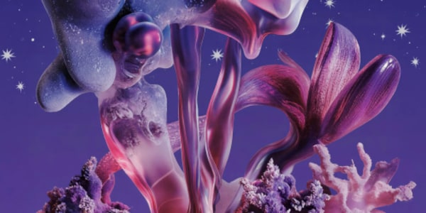 Tropikali by Night - Sat, Aug 08, 2026, 23:30 at Paradiso, Weteringschans 6, 1017SG Amsterdam, Netherlands