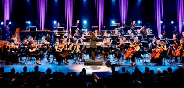 Antwerp Philharmonic Orchestra speelt The Focus Symphony - 25.05.2026 17:00 at Het Concertgebouw, Concertgebouwplein 10, 1071 LN Amsterdam, Netherlands