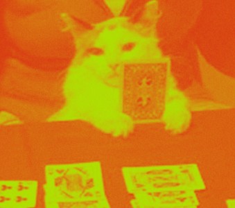 Zum Ass im Ärmel - Sa., 28.03.2026, 22:00 at Flucc, Praterstern 5, 1020 Wien, Österreich