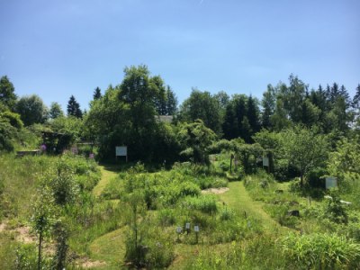 Tag der offenen Gartentür - Sun, May 24, 2026, 21:48 at Pienkenhof, Wittinghof 3, 4292 Kefermarkt, Österreich