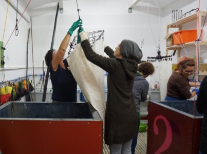 1 Tag blau machen, Blaudruckworkshop im Februar - 21.02.2026 10:00 at Zeugfärberei Gutau, St.Leonharderstrasse 4, 4293 Gutau, Österreich