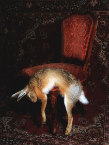 Toxische Pommes
Wunschlos unglücklich
- 24.11.2025 19:30 at Stadtsaal Wien, Mariahilfer Straße 81, 1060 Wien, Österreich