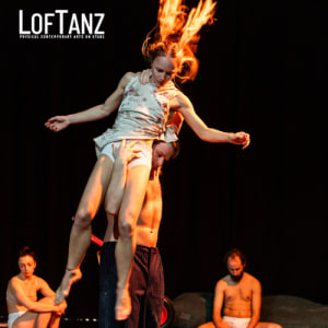 UNDERDOGS by Editta Braun - Sat, May 09, 2026, 20:00 at Sonnstein Loft, Sonnensteinstraße 11 - 13, 4040 Linz, Österreich