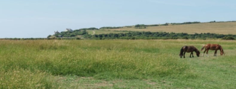 Die Ambivalenz der Hitze. Vernissage ＆ Ausstellung - Sun, Mar 07, 2027, 19:00 at Tabakfabrik, Peter-Behrens-Platz 1-15, 4020 Linz, Österreich