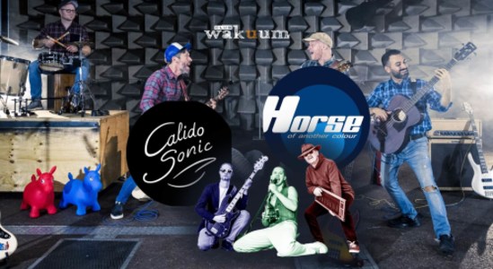 Calido Sonic u. Horse Of Another Colour - 09.01.2026 19:00 at Club Wakuum, Griesgasse 25, 8020 Graz, Österreich