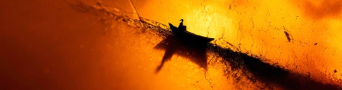 LOHENGRIN - Sat, Oct 10, 2026, 17:00 at Landestheater Linz Musiktheater, Am Volksgarten 1, 4020 Linz, Österreich