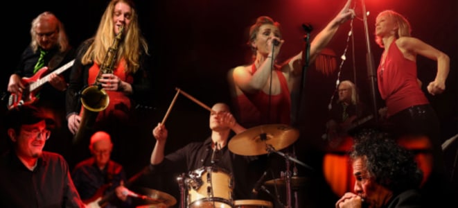 Blues, Soul & Funk Inc. | Blues. Rock. Soul. Christmas mit Forest Lane & Friends - 19.12.2025 20:00 at Alter Schlachthof, Dragonerstraße 22, 4600 Wels, Österreich