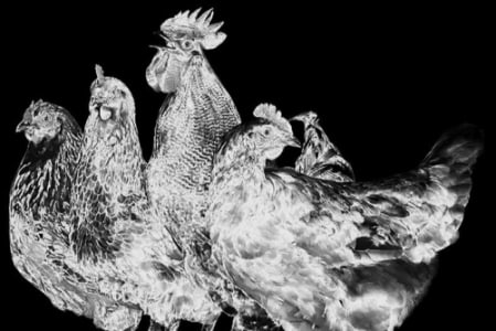 SOUNDKILLAZ EASTER-SPECIAL - Sat, Apr 04, 2026, 20:00 at Kulturlabor Stromboli, Krippgasse 11, 6060 Hall in Tirol, Österreich