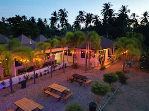 Jungle Hostel Koh Tao — social hostel in Koh Tao, Thailand