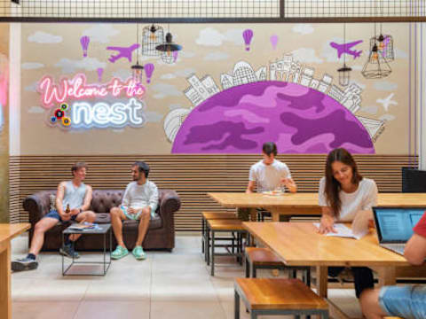Purple Nest Hostel Valencia — social hostel in Valencia, Spain