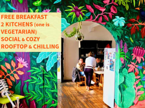 Massiosare El Hostel — social hostel in Mexico City, Mexico