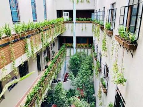 Roma Norte 6 — social hostel in Mexico City, Mexico