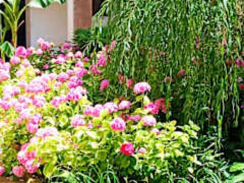 AVAIL Hostel — social hostel in Budapest, Hungary