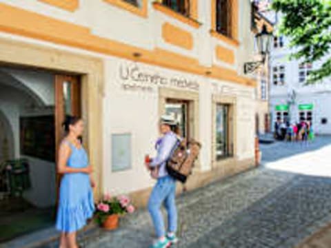 Women’s Only Hostel Prague. Female Only — social hostel in Prague, Czech Republic
