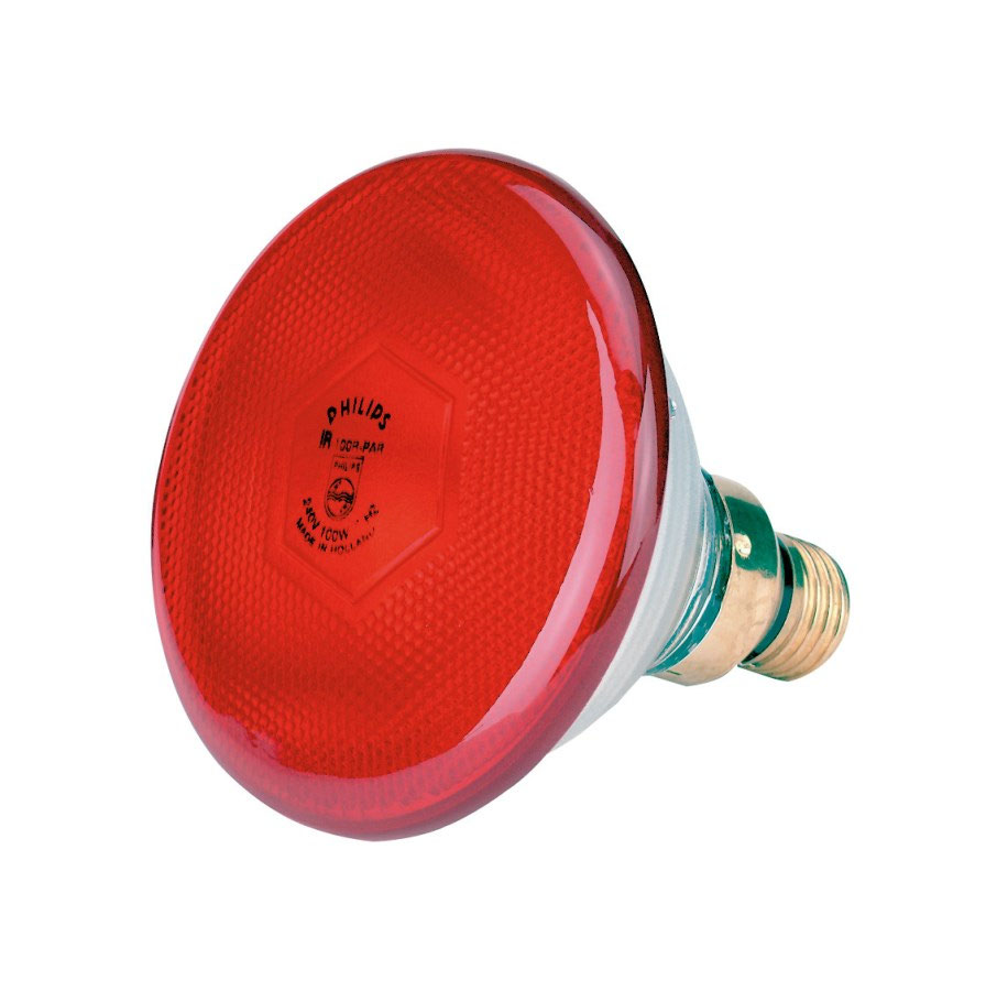 Infrarotlampe 175W rot für Küken – zuverlässige Wärmelampe für Aufzucht und konstante Wärme im Hühnerstall