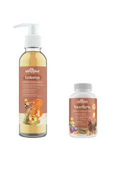 Winter-Set für Hühner mit Goldenegg und Power Herbs – unterstützt Immunsystem, Vitalität und Legeleistung in der kalten Jahreszeit