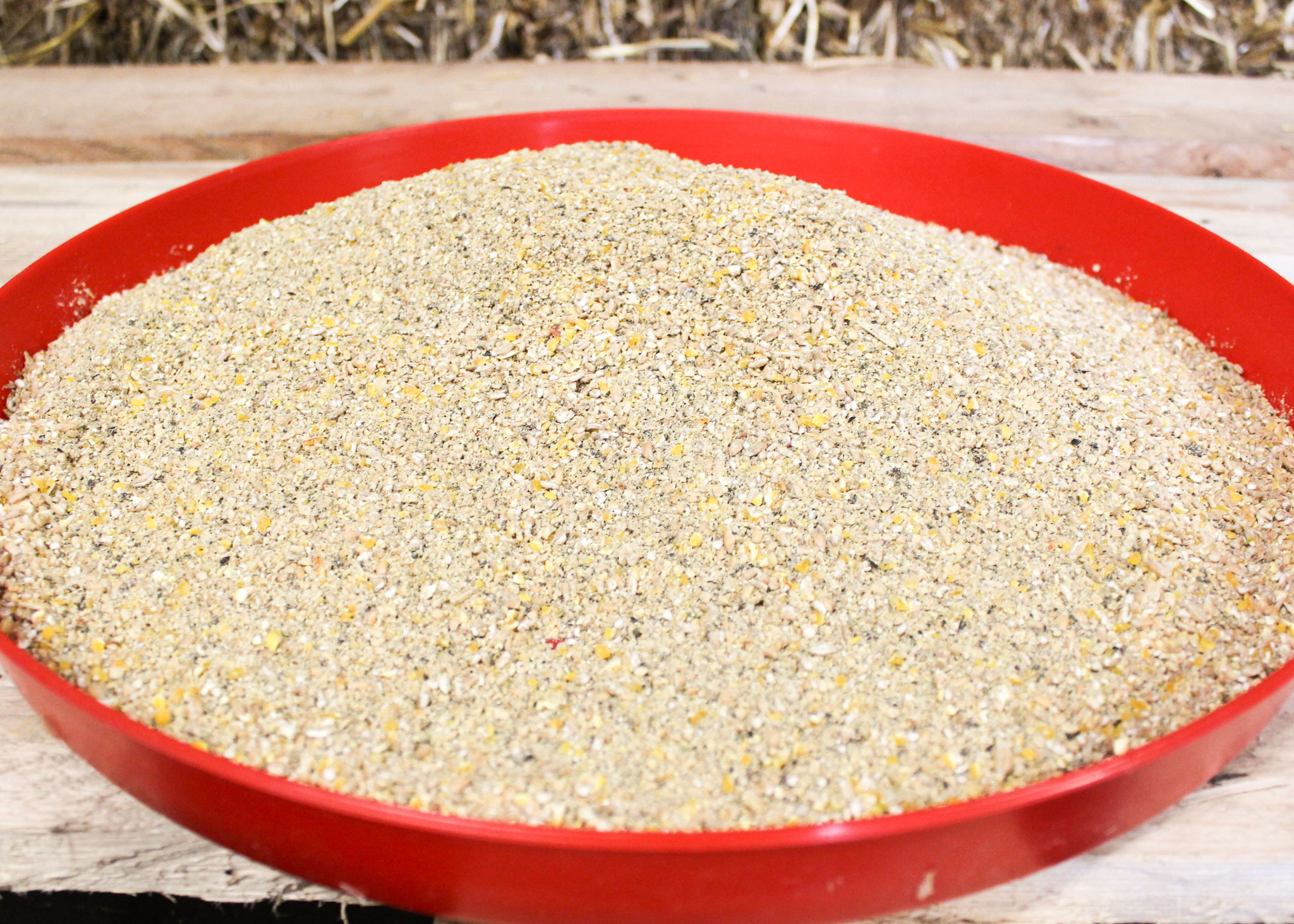 Kükenstartermehl für Hühner – hochwertiges Starterfutter für einen optimalen Start und gesunde Entwicklung von Küken