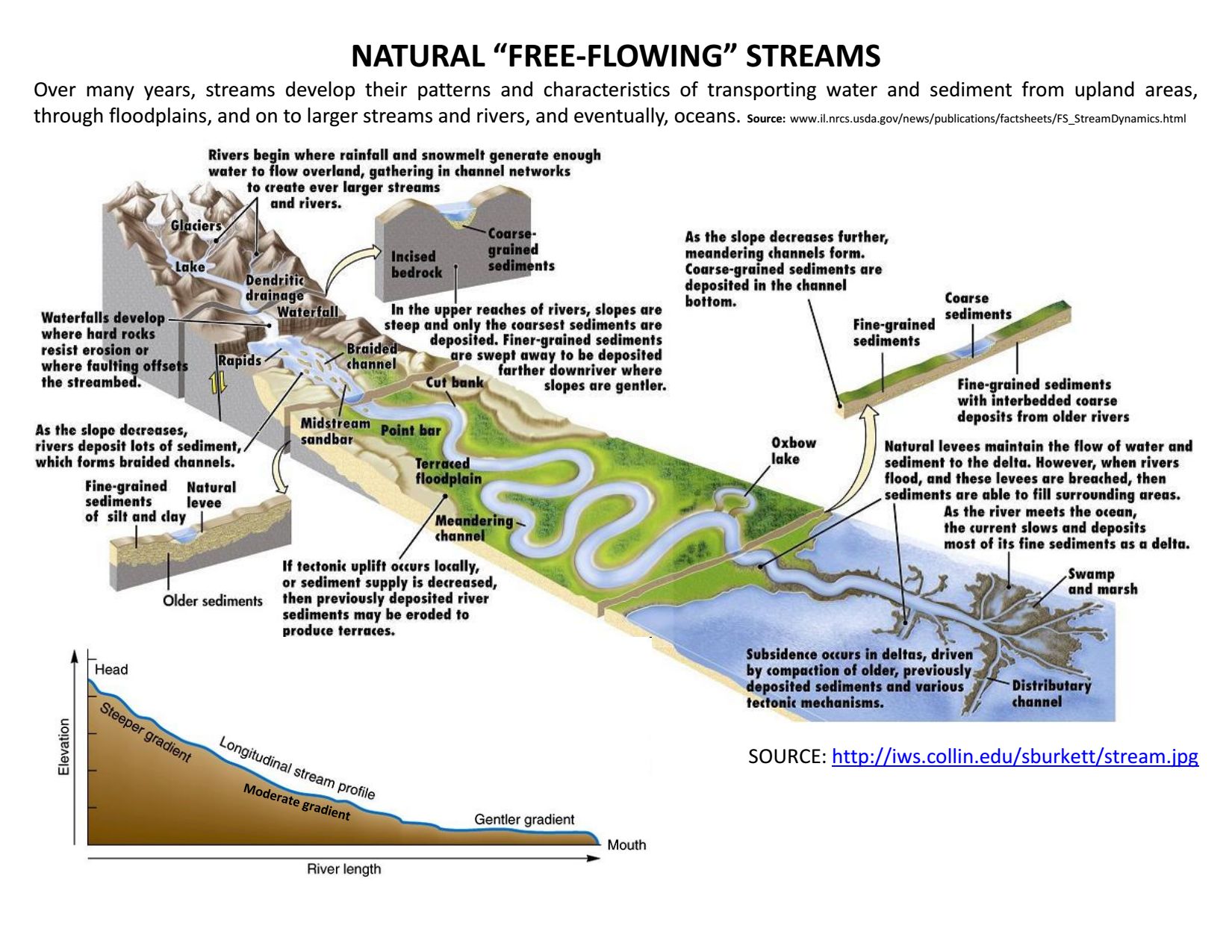 Stream Anatomy Function Beaver Water District