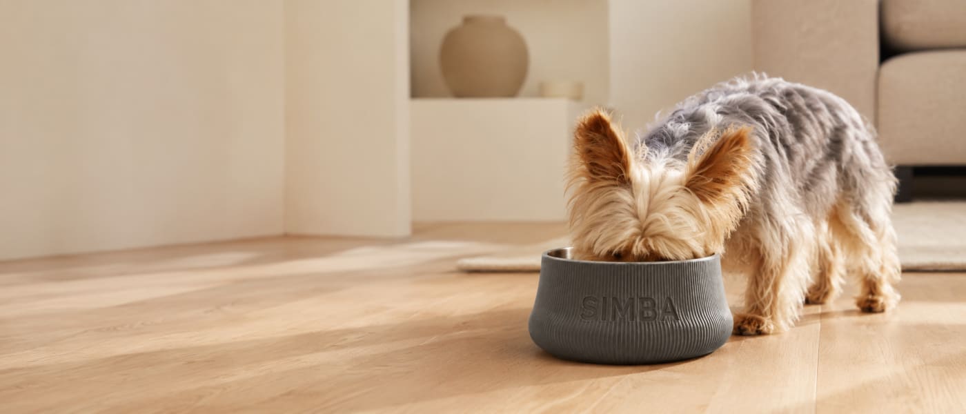 Perro comiendo en un bowl personalizado Ouaf