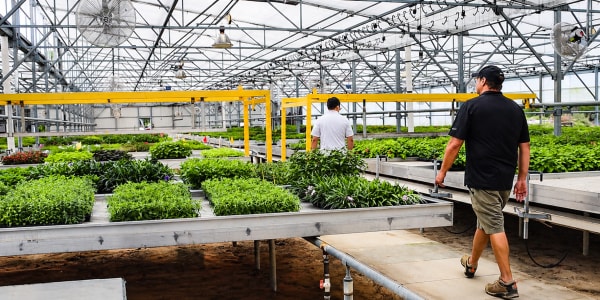 A grow facility that uses IV products