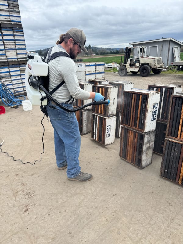 Spraying Hive Wash