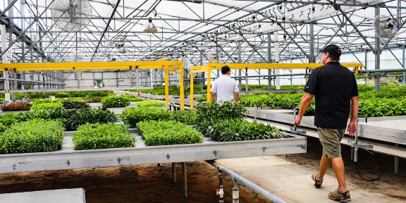 A grow facility that uses IV products