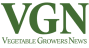 VGN Logo