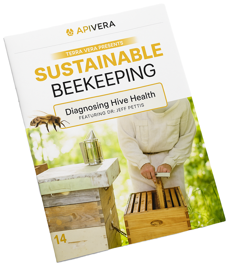 Preview image for diagnosing hive health guide
