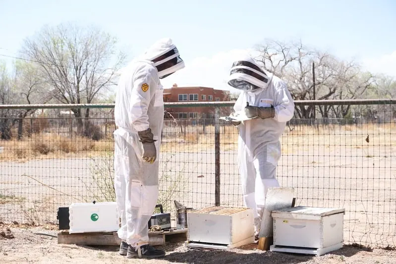 Terra Vera team running field trials on hives in New Mexico