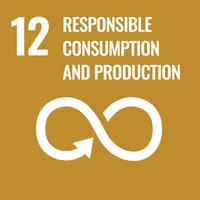 Responsible Consumption UN Goal Icon