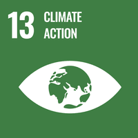 Climate Action UN Goal Icon