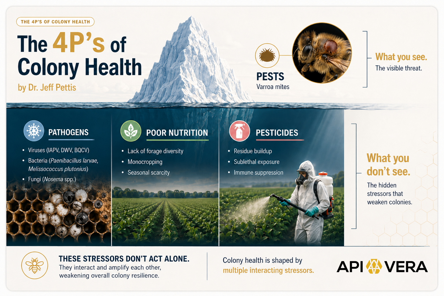 The 4P’s of Colony Health iceberg graphic by Dr. Jeff Pettis