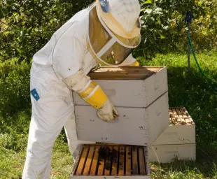 Beekeeping products