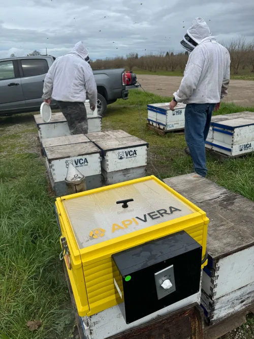 ApiVera foggers in the field