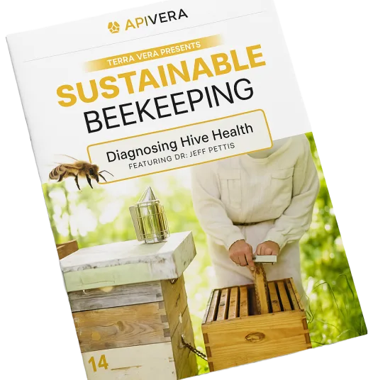 Preview image for diagnosing hive health guide