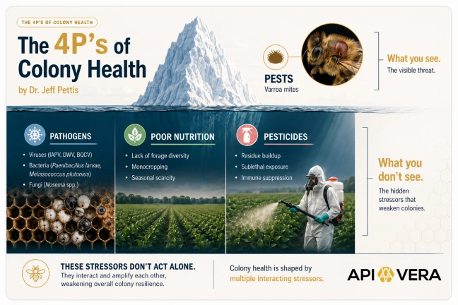 The 4P’s of Colony Health iceberg graphic