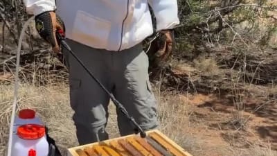 Hive Health sprayer 3