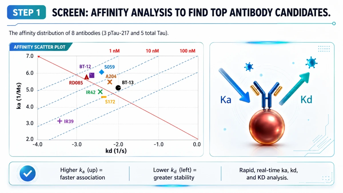 Step 1: Affinity analysis using FOPPR real-time binding kinetics