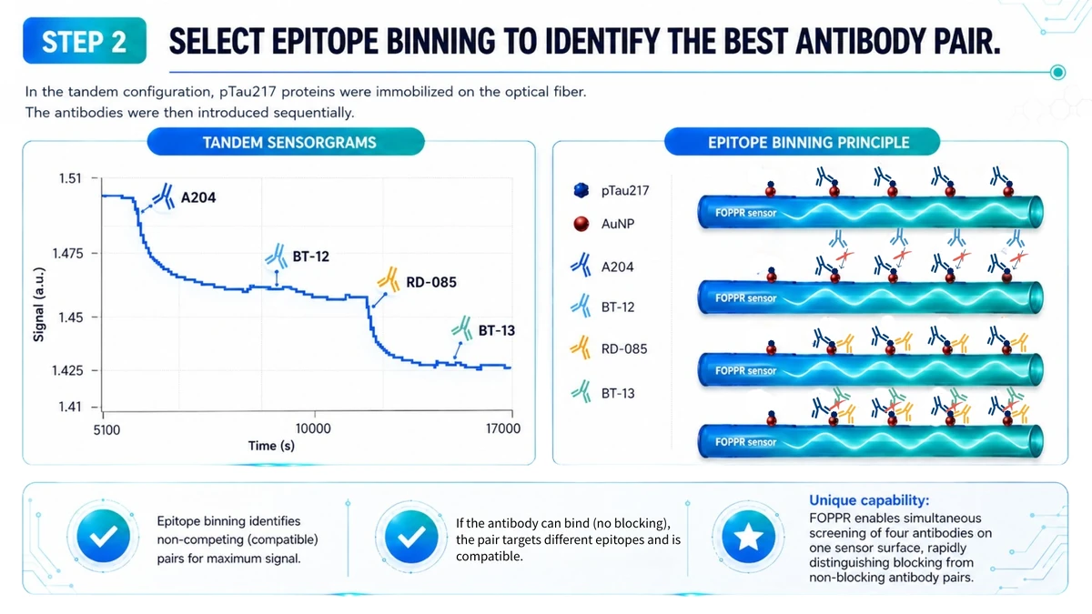 Step 2: Sequential epitope binning to confirm non-competing antibody pairs