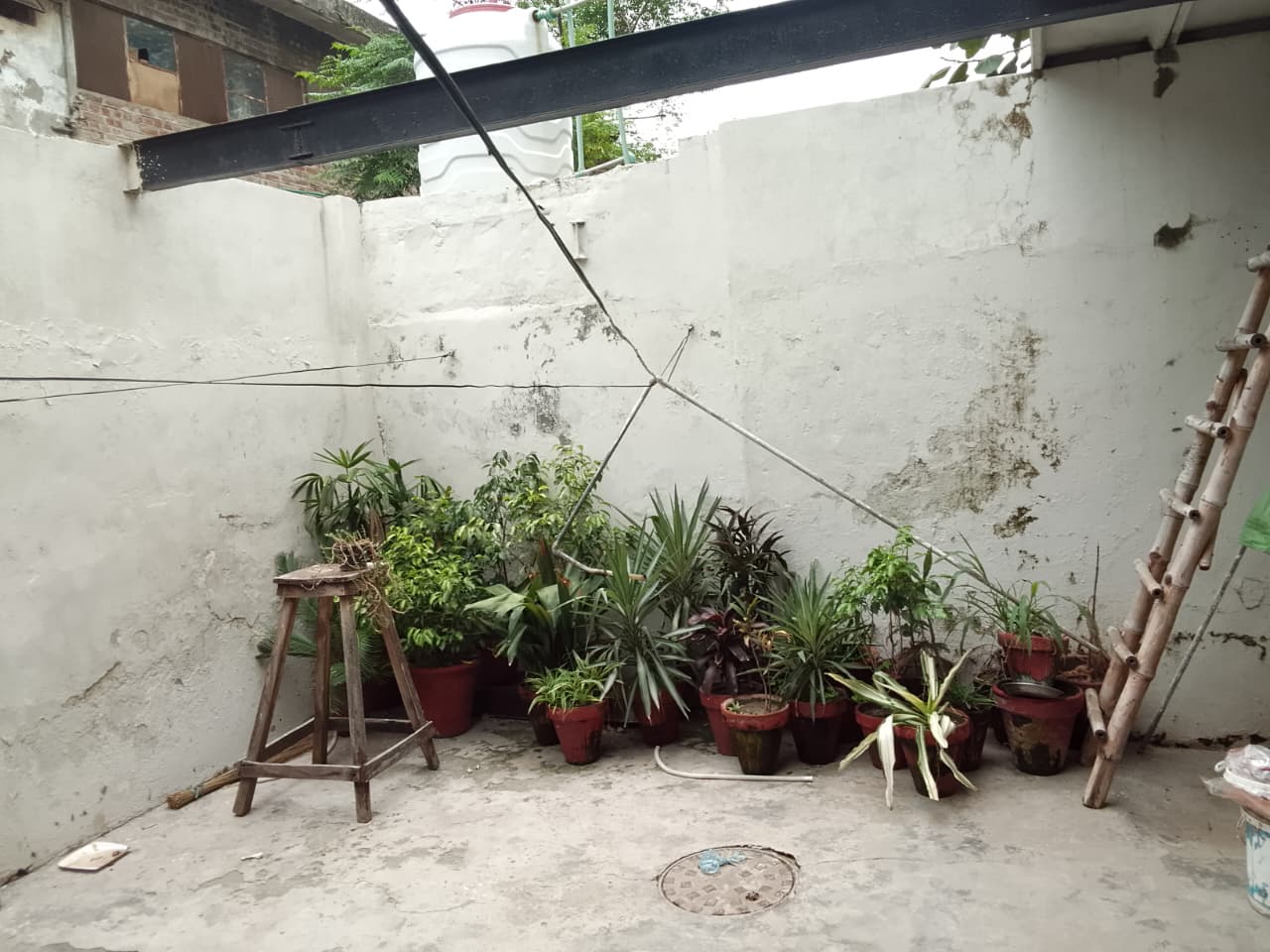 Before image