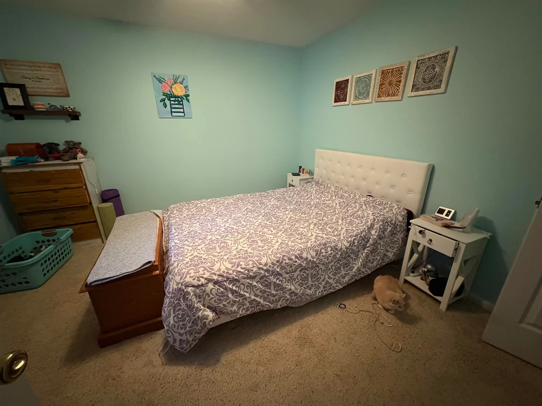 Before image