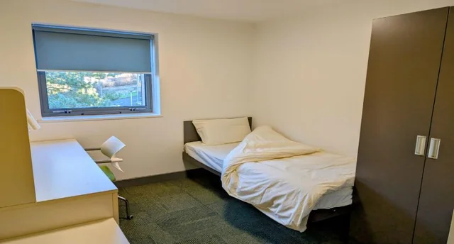 Before image