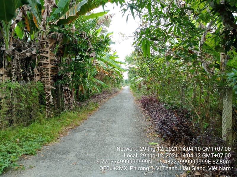VT74 Đường Vị Bình B, Phường 3, từ Kênh Vị Bình đến Kênh ranh huyện Vị Thuỷ - Ảnh 1